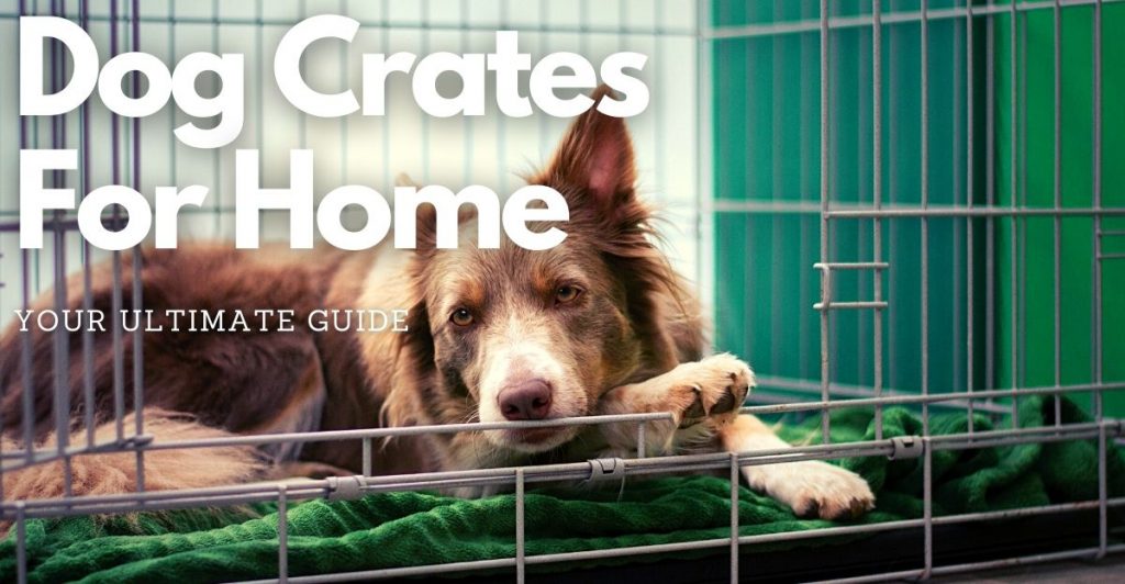 dog crates for home