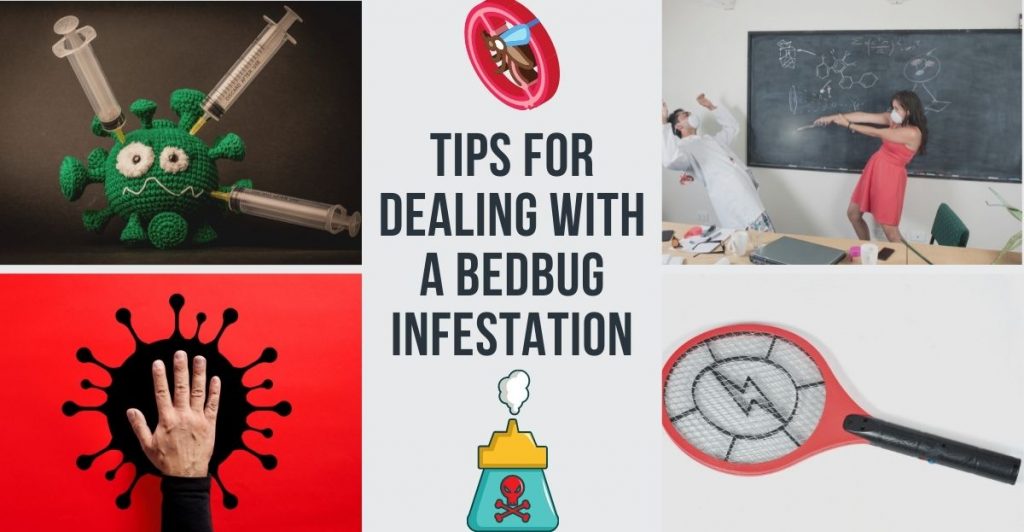 bedbug infestation (1)