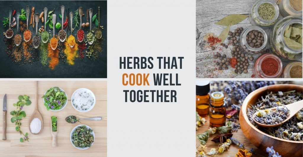 how to cook with herbs (1)